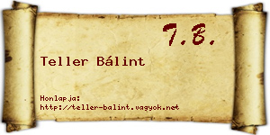 Teller Bálint névjegykártya